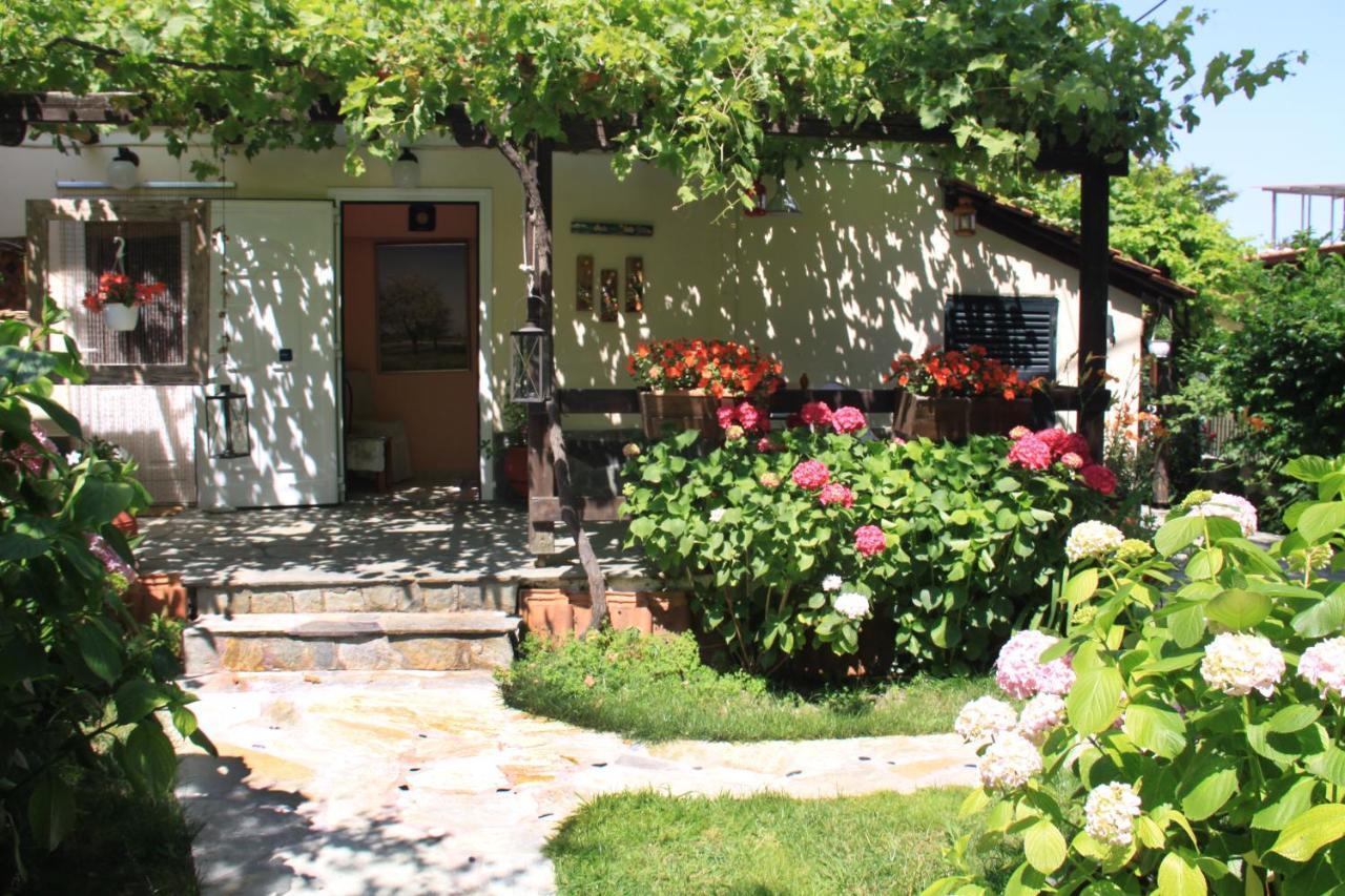 Fasoli Studios Paralia Pantaleimonos Bagian luar foto