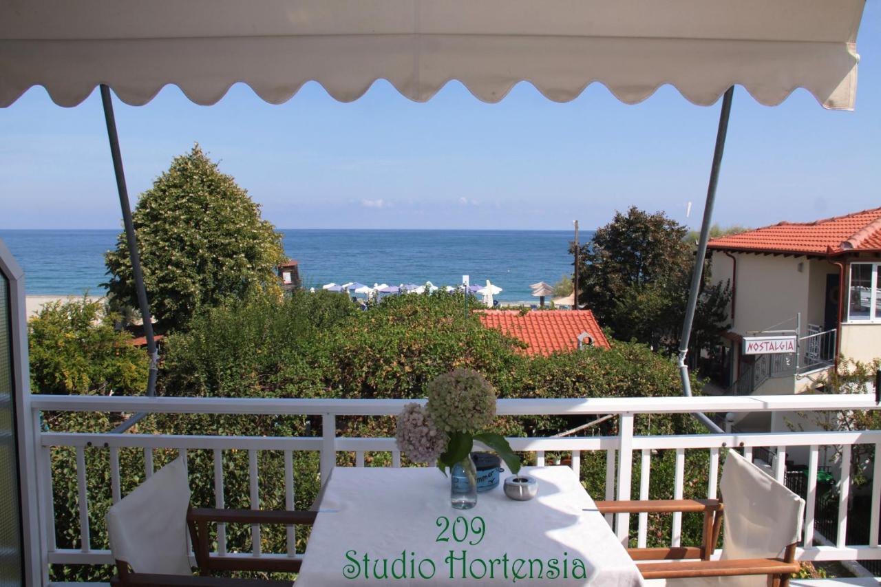 Fasoli Studios Paralia Pantaleimonos Bagian luar foto